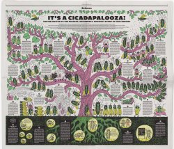 Image from NYT Kids Edition about Cicadas that is in the design of a family tree